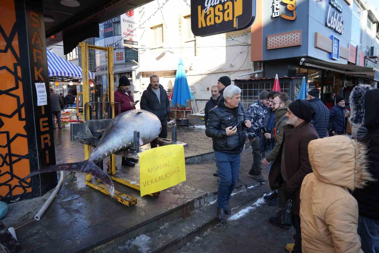 ATLANTİK OKYANUSU’NDAN AVLANAN 365 KİLOLUK DEV ORKİNOS ERZİNCAN’DA BALIK TEZGÂHINDA...