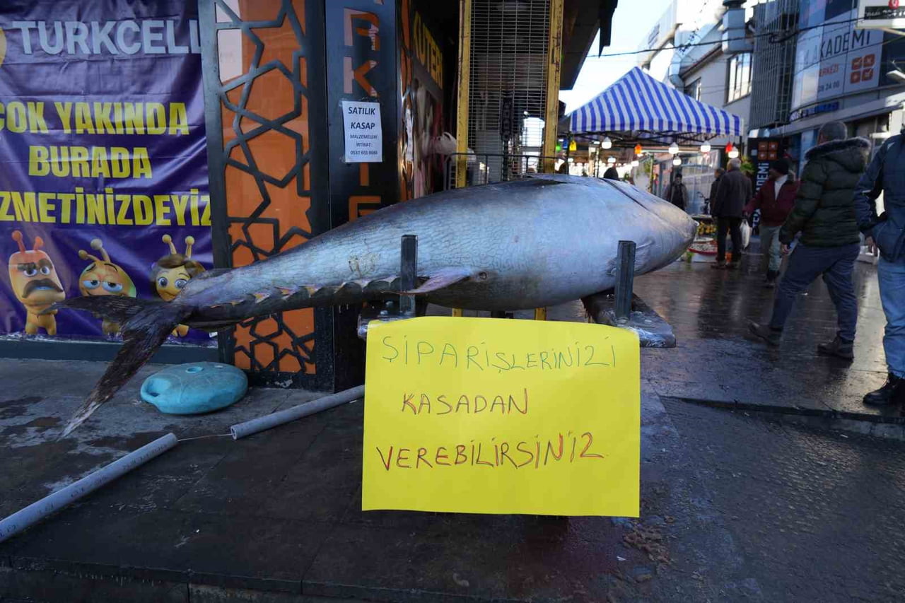 ATLANTİK OKYANUSU’NDAN AVLANAN 365 KİLOLUK DEV ORKİNOS ERZİNCAN’DA BALIK TEZGÂHINDA...