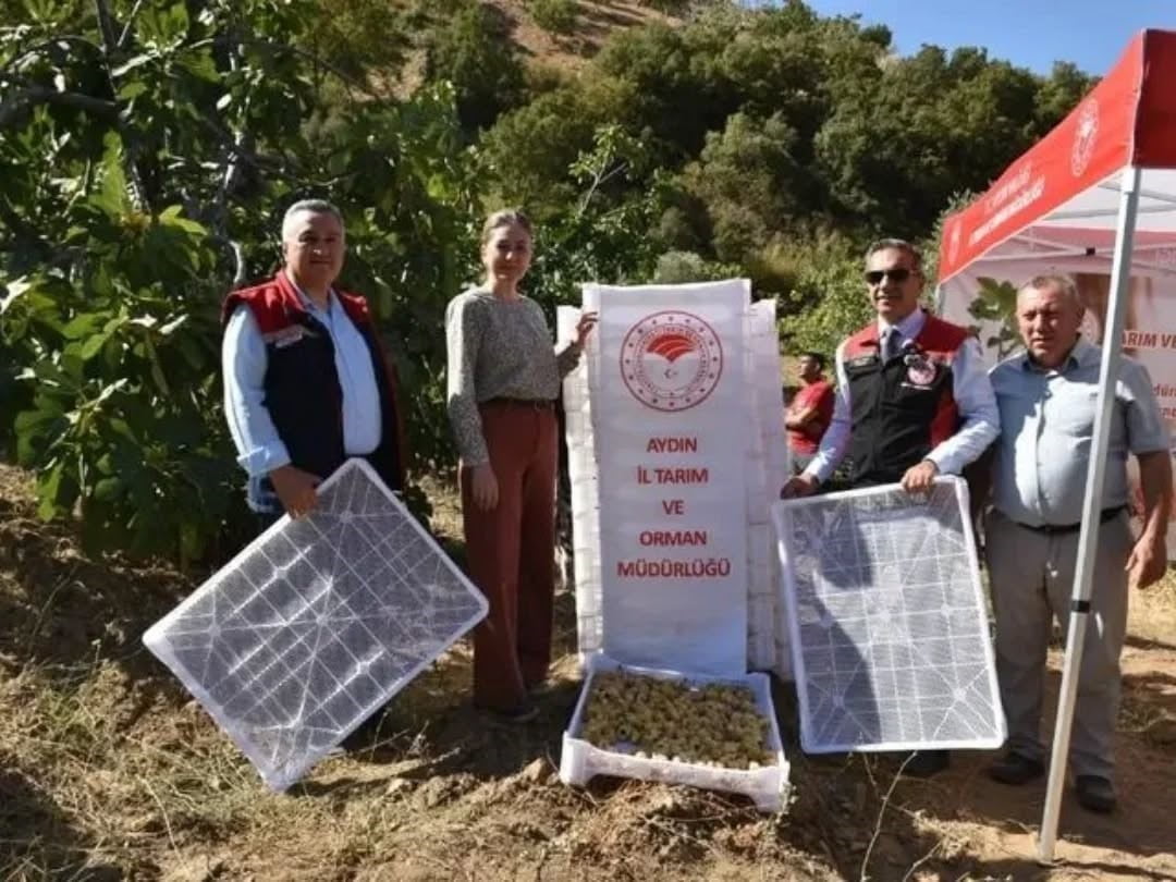 AYDIN'DA 2025 YILINDA GÜBRE, BİTKİ KORUMA ÜRÜNLERİ, ORGANİK TARIM, İHRACAT VE PAZAR YERLERİNİ...