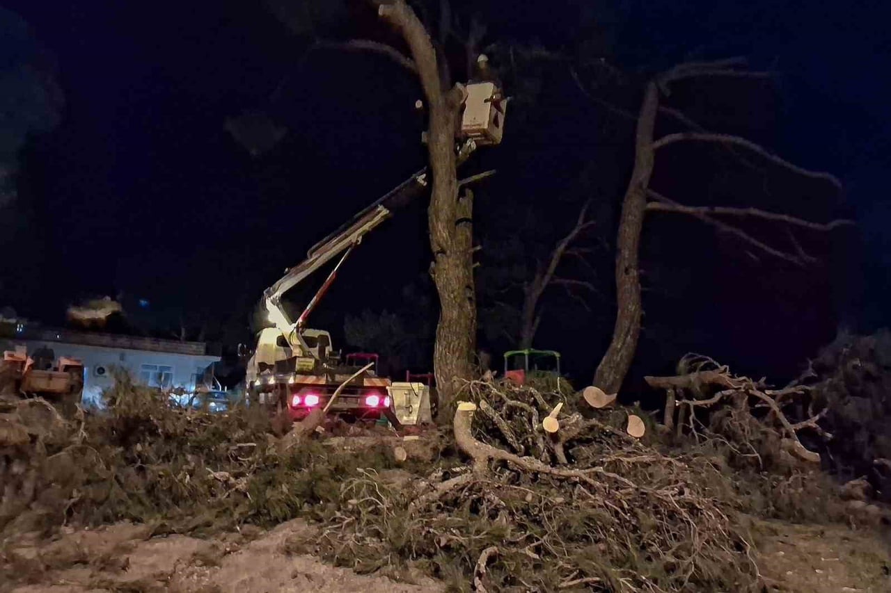 AYDIN’IN EFELER İLÇESİNDE ŞİDDETLİ RÜZGARIN ETKİSİYLE DEVRİLMEK ÜZERE OLAN ÇAM AĞACI, BİR EVİN...