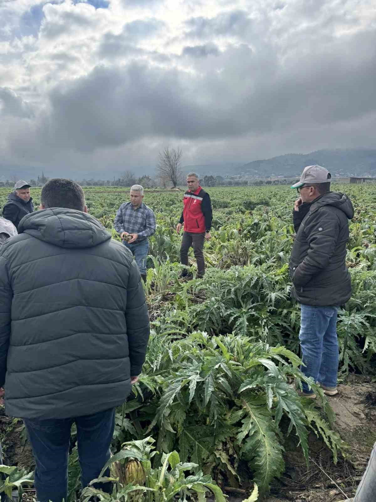 AYDIN’IN EFELER İLÇESİNDEKİ ÜRETİCİLERE TARIM SİGORTALARI HAVUZU’NUN (TARSİM) ÖNEMİ ANLATILIRKEN...