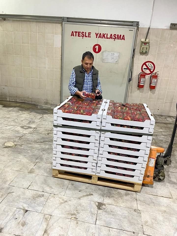 AYDIN’IN SÖKE İLÇESİNDE 2025 YILINDA 42 FARKLI ÜLKEYE TOPLAM 49 BİN 295 TON TARIMSAL ÜRÜN İHRAÇ...