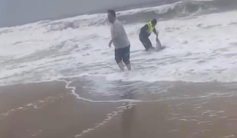 AYVALIK'TA OLUMSUZ HAVA ŞARTLARI NEDENİYLE KARAYA VURAN YUNUSU VATANDAŞLAR KURTARDI