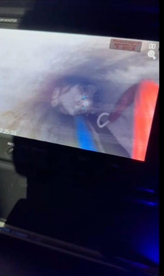 AYVALIK’TA İTFAİYE KUYU SONDAJ POMPASI DELİĞİNE DÜŞEN YAVRU KEDİYİ KURTARDI