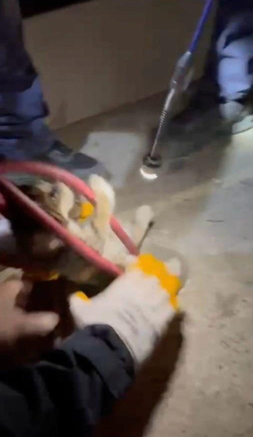 AYVALIK’TA İTFAİYE KUYU SONDAJ POMPASI DELİĞİNE DÜŞEN YAVRU KEDİYİ KURTARDI