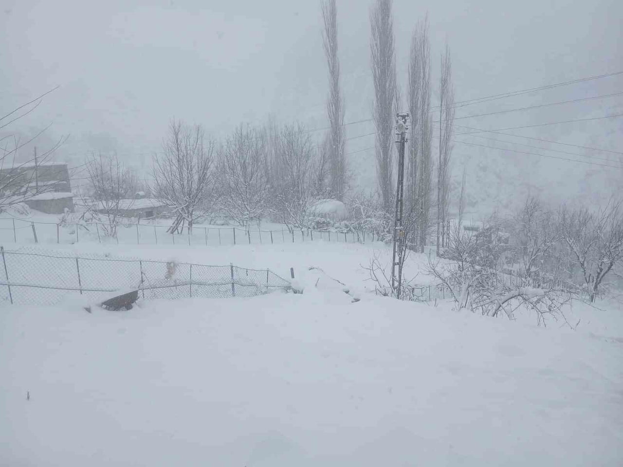 BATMAN'IN SASON İLÇESİNDE ETKİLİ OLAN KAR YAĞIŞI, BUZLANMA VE DON TEHLİKESİ NEDENİYLE TAŞIMALI...