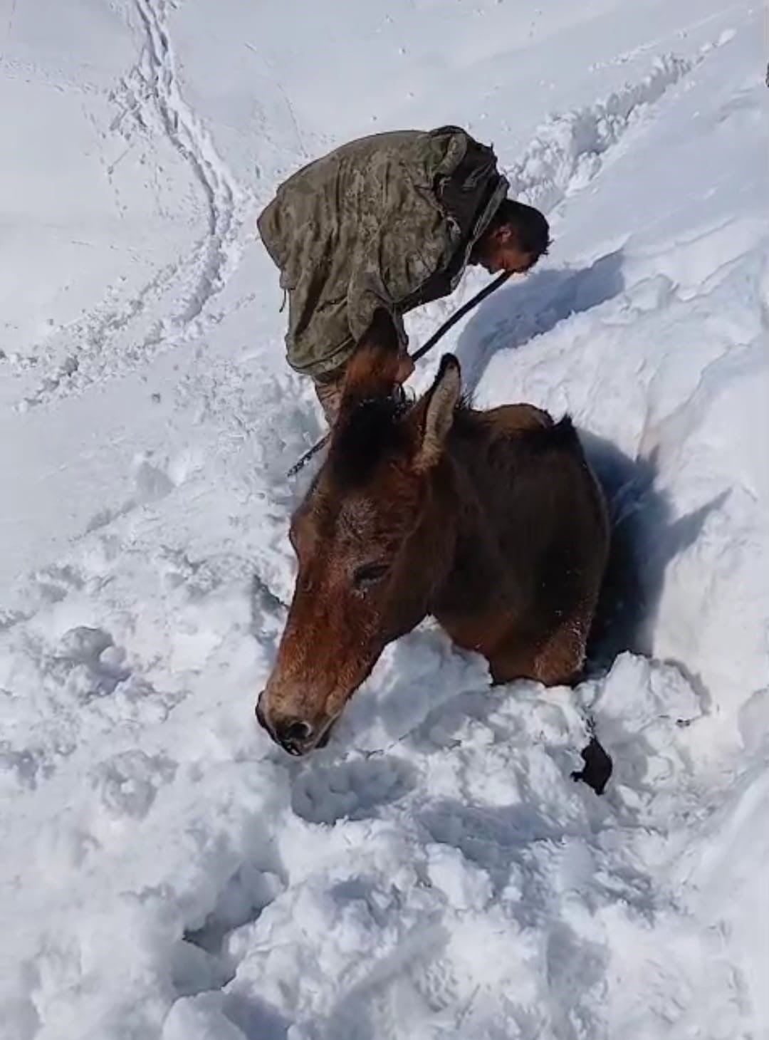 BATMAN’DA DAĞDA KARDA MAHSUR KALAN KATIRLAR SON ANDA KURTARILDI