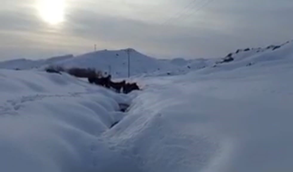 BATMAN’DA DAĞDA MAHSUR KALAN 6 KATIR KURTARILDI