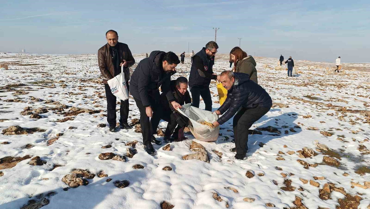 BATMAN’DA SİVİL TOPLUM KURULUŞ TEMSİLCİLERİNİN KATILIMIYLA YABAN HAYVANLARI İÇİN DOĞAYA YEM...