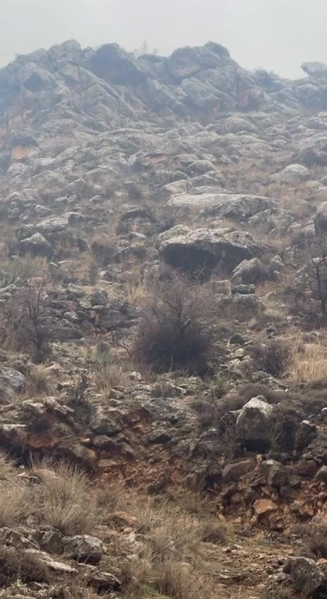 BATMAN’IN HASANKEYF İLÇESİNDE YÜREKLERİ ISITAN BİR OLAY YAŞANDI. KARA KÖYÜ MEVKİİNDE SEYİR HALİNDE...