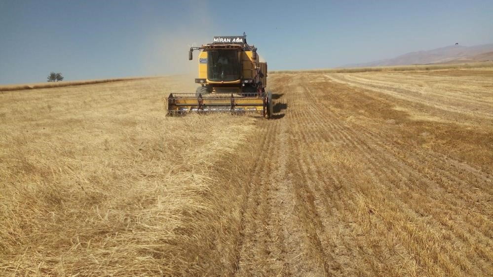 BAYBURT’TA BESİCİ VE YETİŞTİRİCİLERE YEMLİK ARPA SATIŞI YAPILACAK