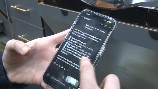 Berberlerde yapay zeka akımı