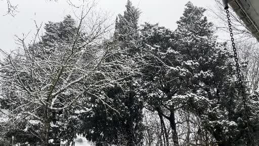 Beyaza bürünen Çamlıca’da kartopu savaşı