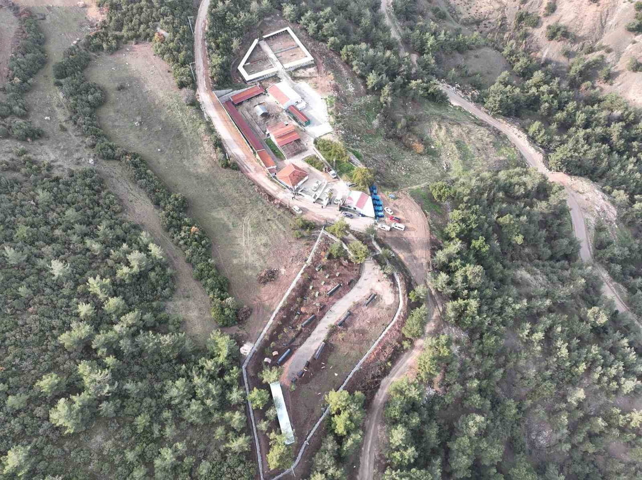 BİLECİK'TE CAN DOSTLAR EMİN ELLERDE