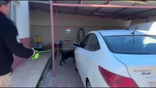 Binlerce uyuşturucu hapla yakalandı, "Babam hastaydı" savunması yaptı