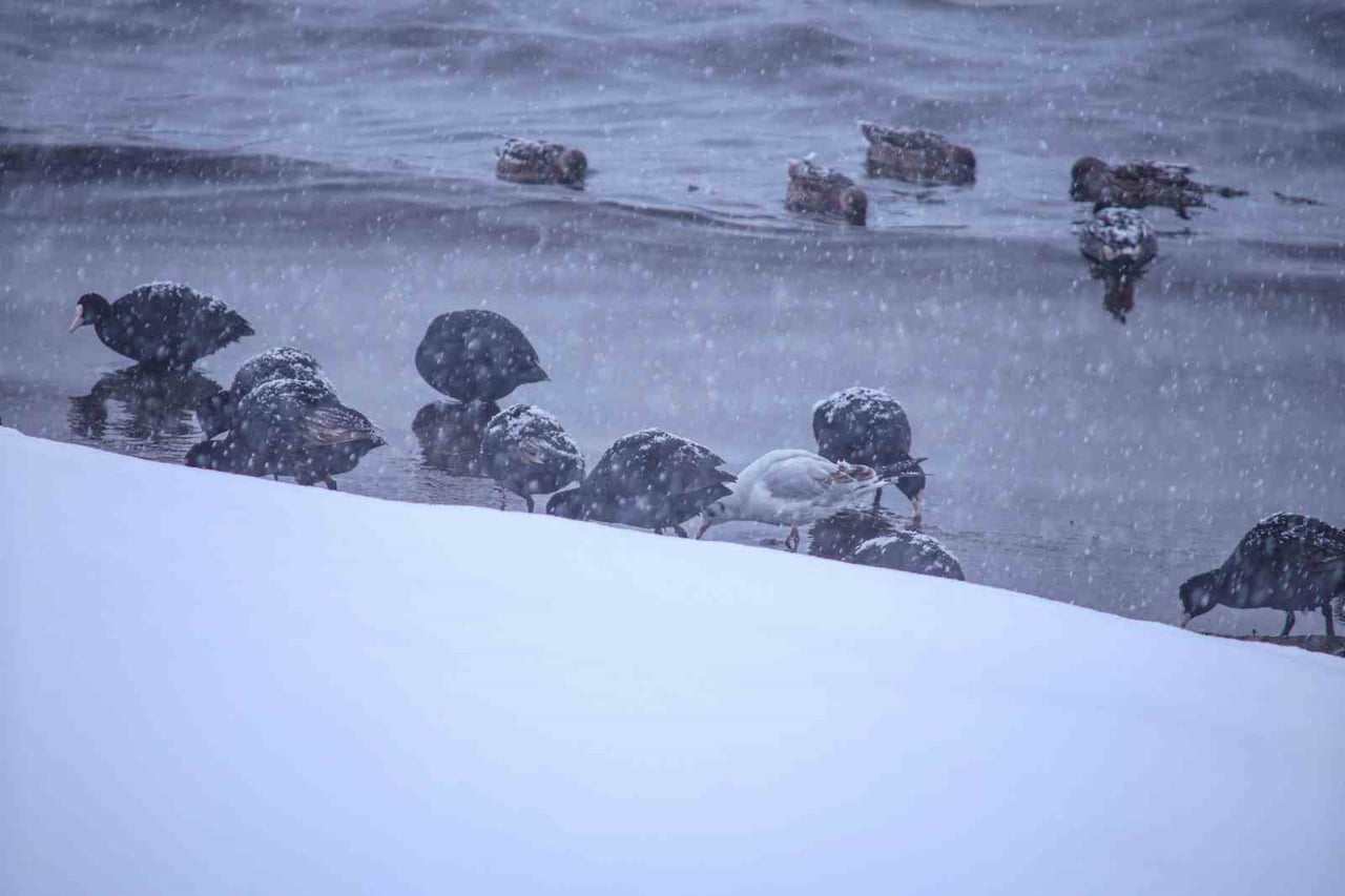 BİTLİS'İN TATVAN İLÇESİ, KIŞ ŞARTLARI VE DONDURUCU SOĞUĞUN ETKİLİ OLDUĞU GÜNLERDE GÖKYÜZÜNDE...