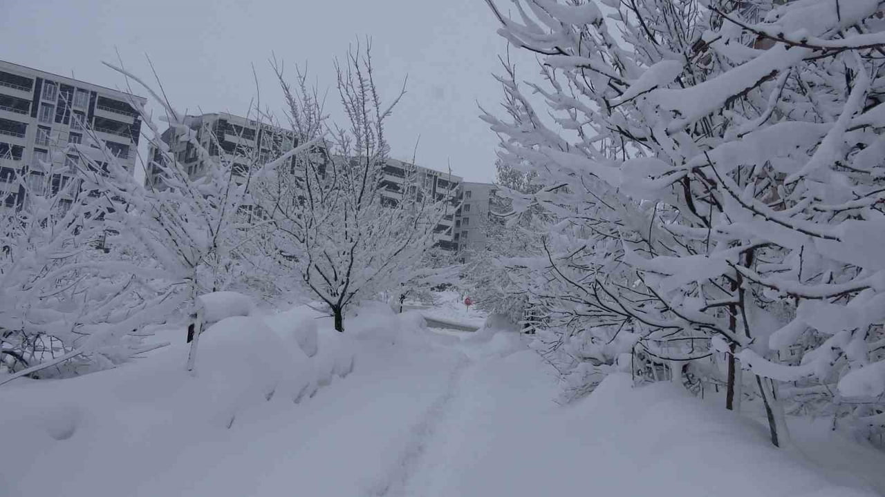 BİTLİS’TE GÜNLERDİR ETKİLİ OLAN KAR YAĞIŞI YAŞAMI OLUMSUZ ETKİLERKEN, VATANDAŞA DA ZOR ANLAR...