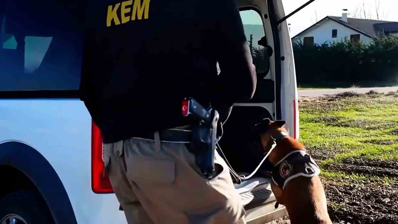 BOLU'DA EMNİYET VE JANDARMA EKİPLERİNCE BELİRLENEN ADRESLERE DÜZENLENEN OPERASYONLARDA BONZAİ...