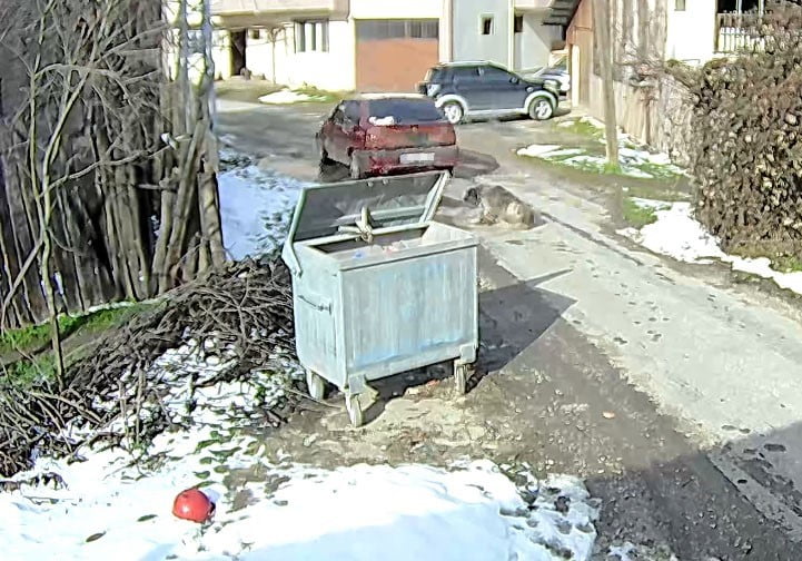 BOLU BELEDİYE BAŞKANI TANJU ÖZCAN, BOLU’DA BİR ARACIN ÜZERİNDEN GEÇEREK YARALADIĞI KÖPEĞİ TEDAVİ...