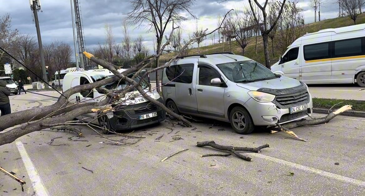 BURSA'DA SEYİR HALİNDEKİ ARAÇLARIN ÜZERİNE AĞAÇ DEVRİLDİ