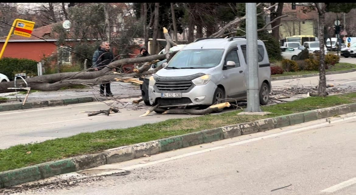 BURSA'DA SEYİR HALİNDEKİ ARAÇLARIN ÜZERİNE AĞAÇ DEVRİLDİ