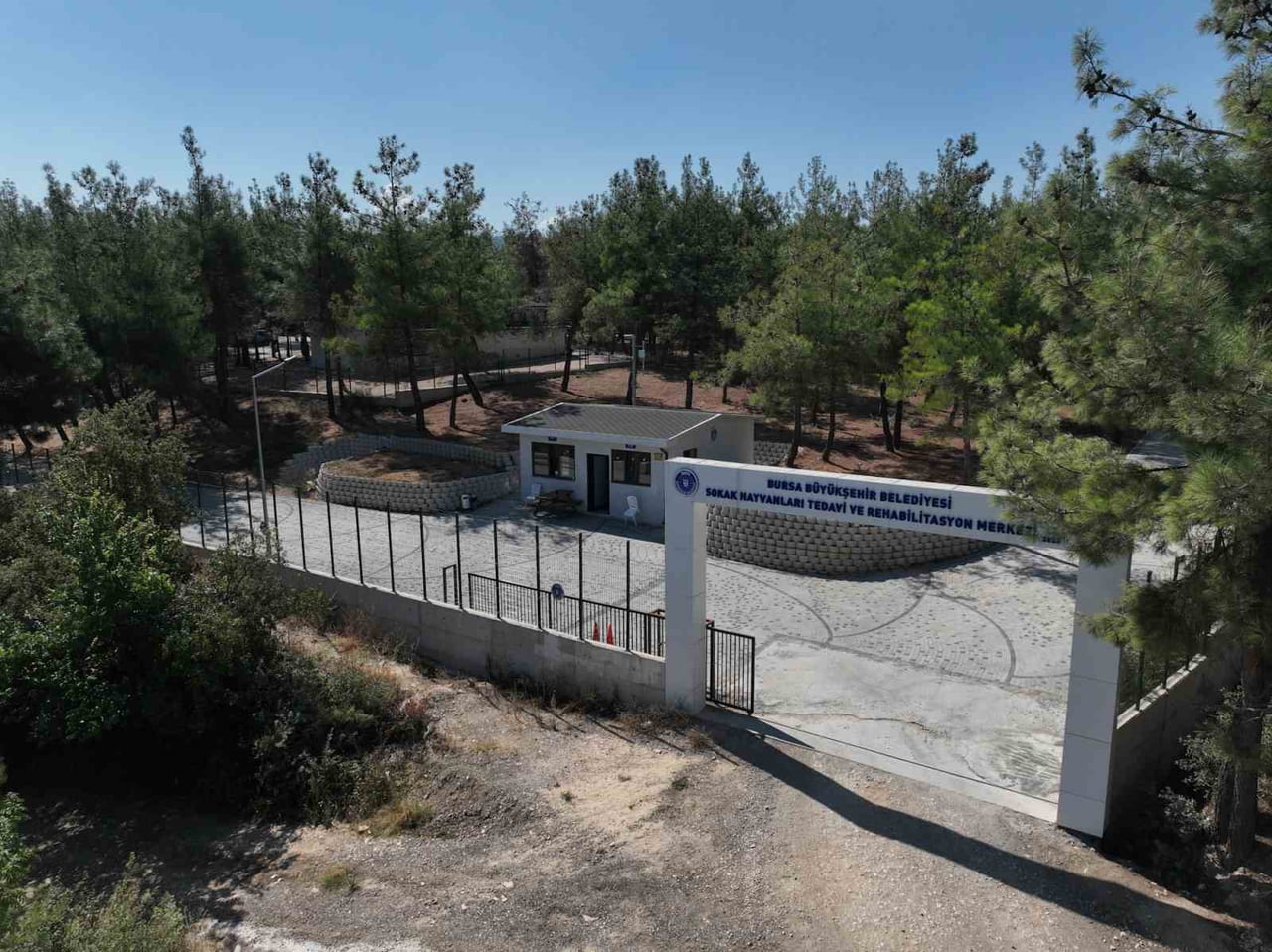 BURSA’DA SAHİPSİZ HAYVANLARIN DAHA İYİ KOŞULLARDA YAŞAMASI İÇİN BİRÇOK PROJE GELİŞTİREN BÜYÜKŞEHİR...