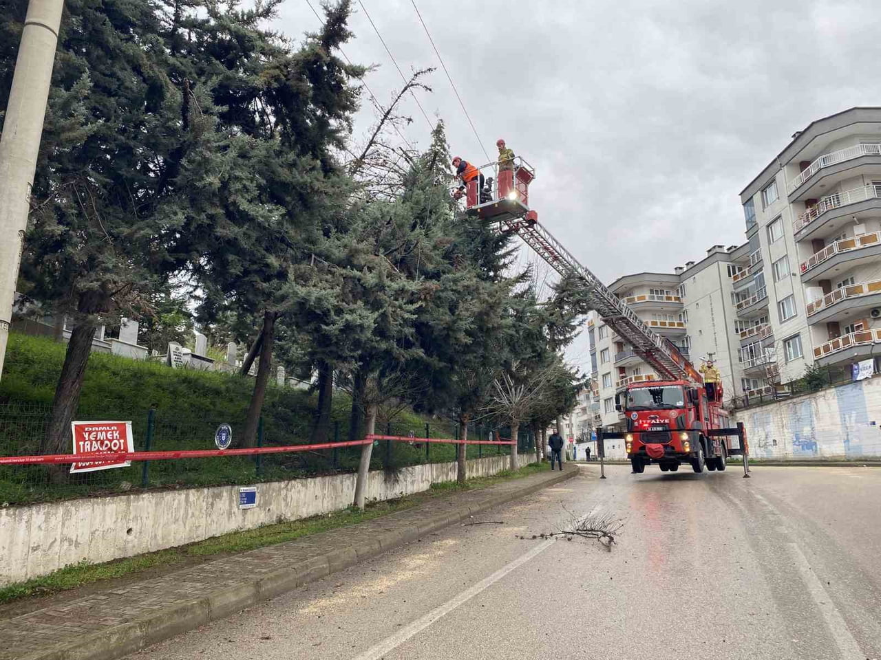 BURSA’NIN MUDANYA İLÇESİNDE ETKİLİ OLAN ŞİDDETLİ LODOS NEDENİYLE BİR AĞAÇ DEVRİLDİ. DEVRİLEN AĞAÇ...