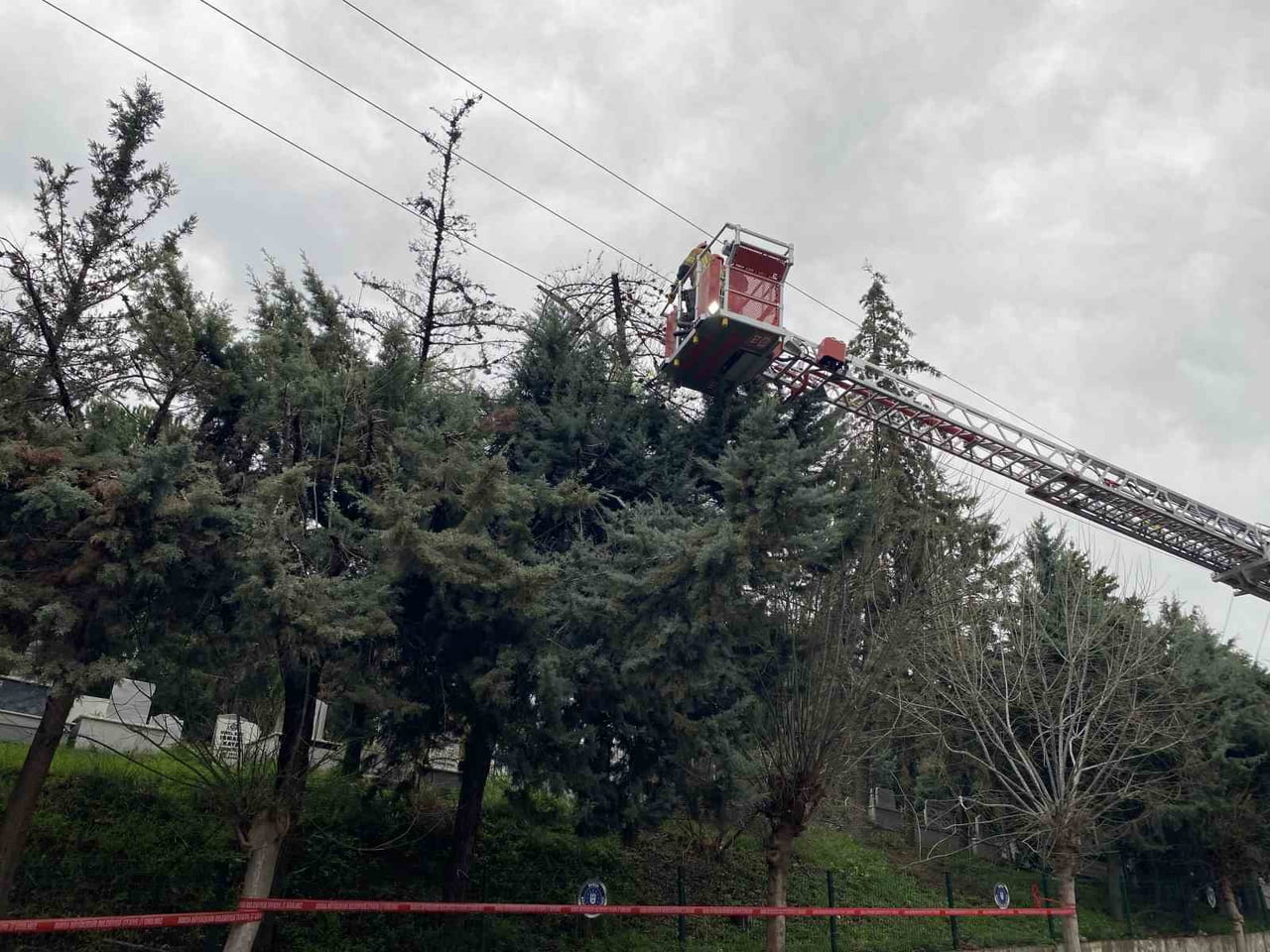 BURSA’NIN MUDANYA İLÇESİNDE ETKİLİ OLAN ŞİDDETLİ LODOS NEDENİYLE BİR AĞAÇ DEVRİLDİ. DEVRİLEN AĞAÇ...