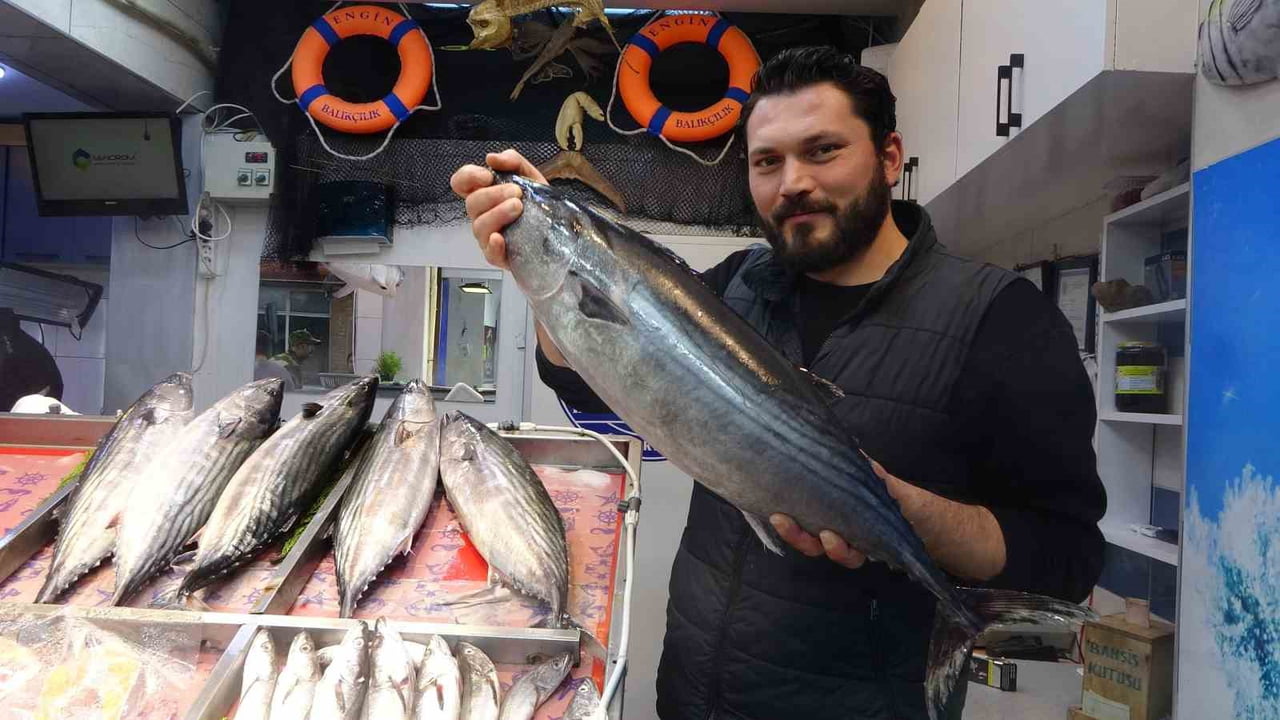 ÇANAKKALE’DE BALIKHALİ ESNAFLARINDAN HASAN DOĞUŞ TUNÇ, KASIM ARALIK AYALARI ARASINDA BEKLENEN...