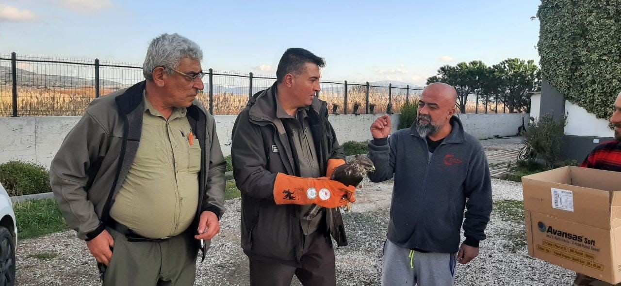 ÇANAKKALE’DE DOĞA KORUMA VE MİLLİ PARKLAR MÜDÜRLÜĞÜ (DKMP) EKİPLERİ ARAÇ ÇARPMASI SONUCU YARALANAN...