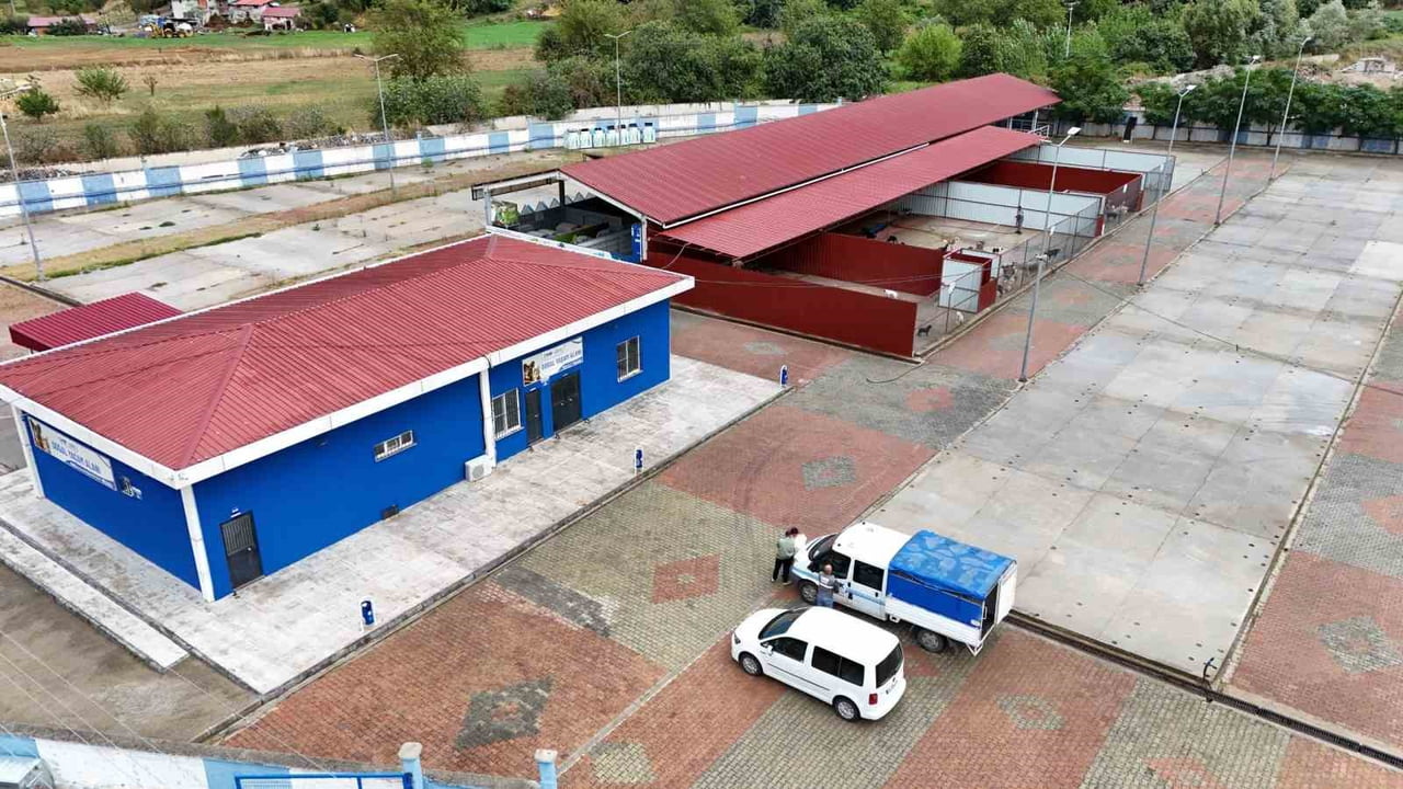 CANİK BELEDİYE BAŞKANI İBRAHİM SANDIKÇI, DOĞAL YAŞAM ALANIYLA SOKAK HAYVANLARININ TEDAVİ VE...