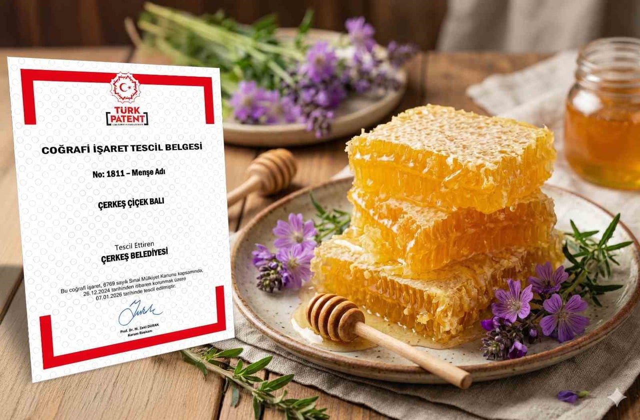 ÇANKIRI’NIN ÇERKEŞ İLÇESİNE ÖZGÜ YÖRESEL ÜRÜNLERDEN ÇERKEŞ ÇİÇEK BALI, KUZEY ANADOLU KALKINMA...