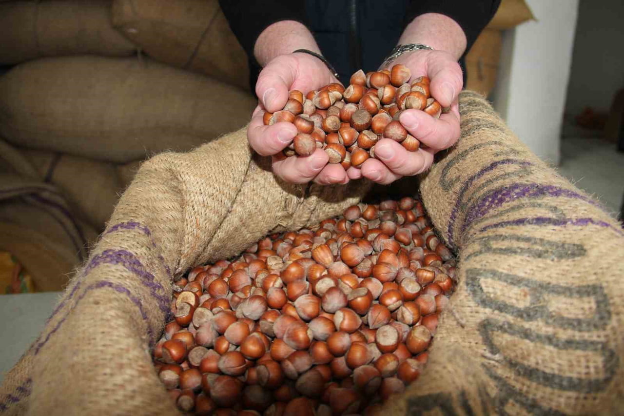 ÇUVALDA FINDIK GÖRSELİ