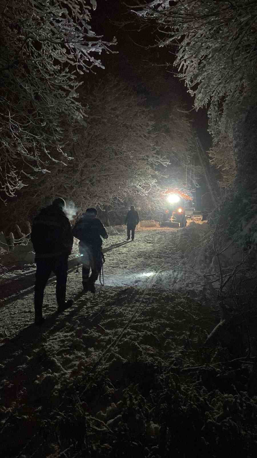 CVR SİNOP’TA YOLA AĞAÇ DEVRİLDİ (FOTOĞRAFLI) MURAT ÇALIŞKAN SİNOP (İHA) - SİNOP’UN TÜRKELİNE BAĞLI...