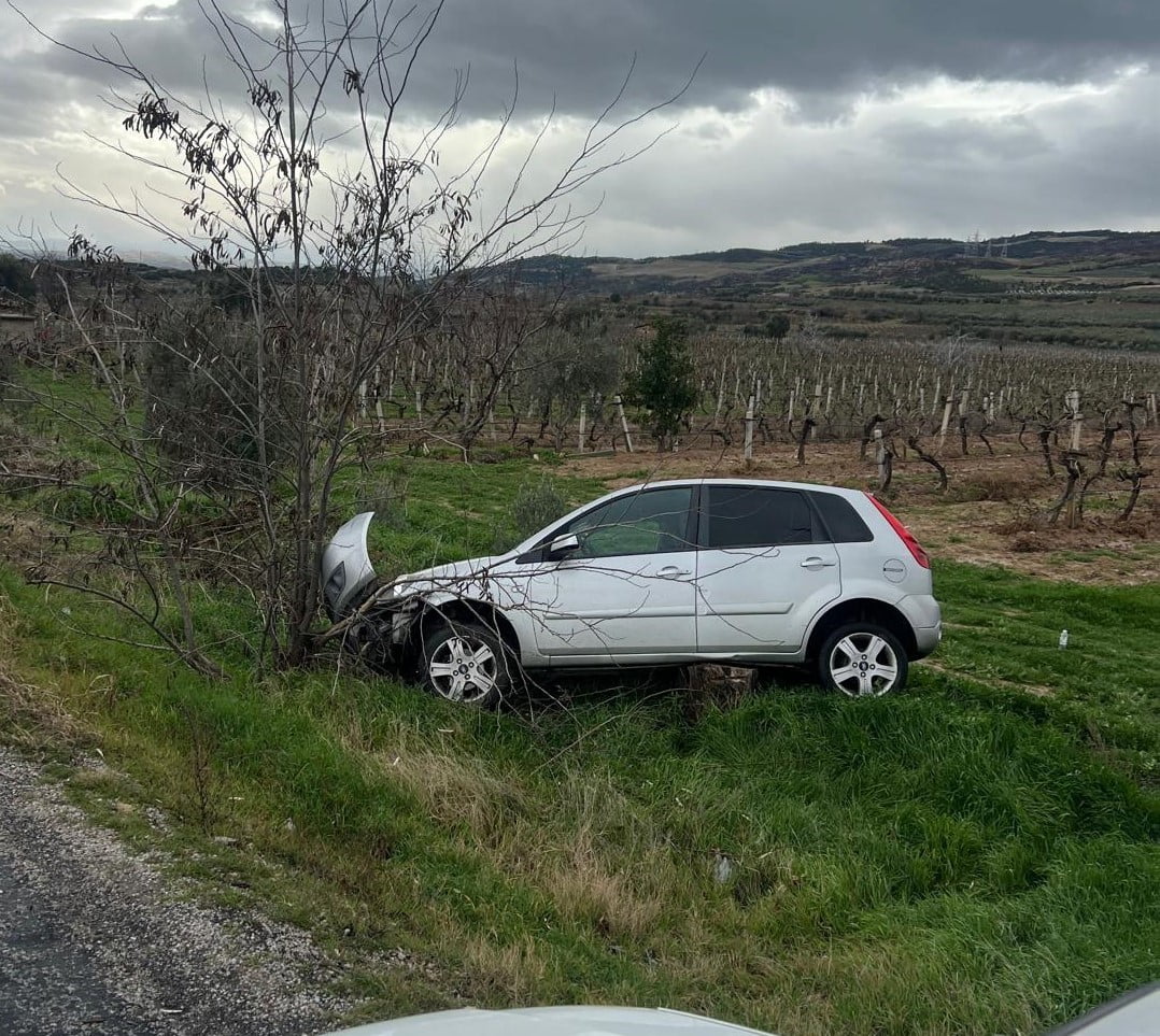 DENİZLİ’NİN BULDAN İLÇESİNDE YAĞMUR NEDENİYLE KAYGANLAŞAN YOLDA KONTROLDEN ÇIKAN OTOMOBİL ÜZÜM...
