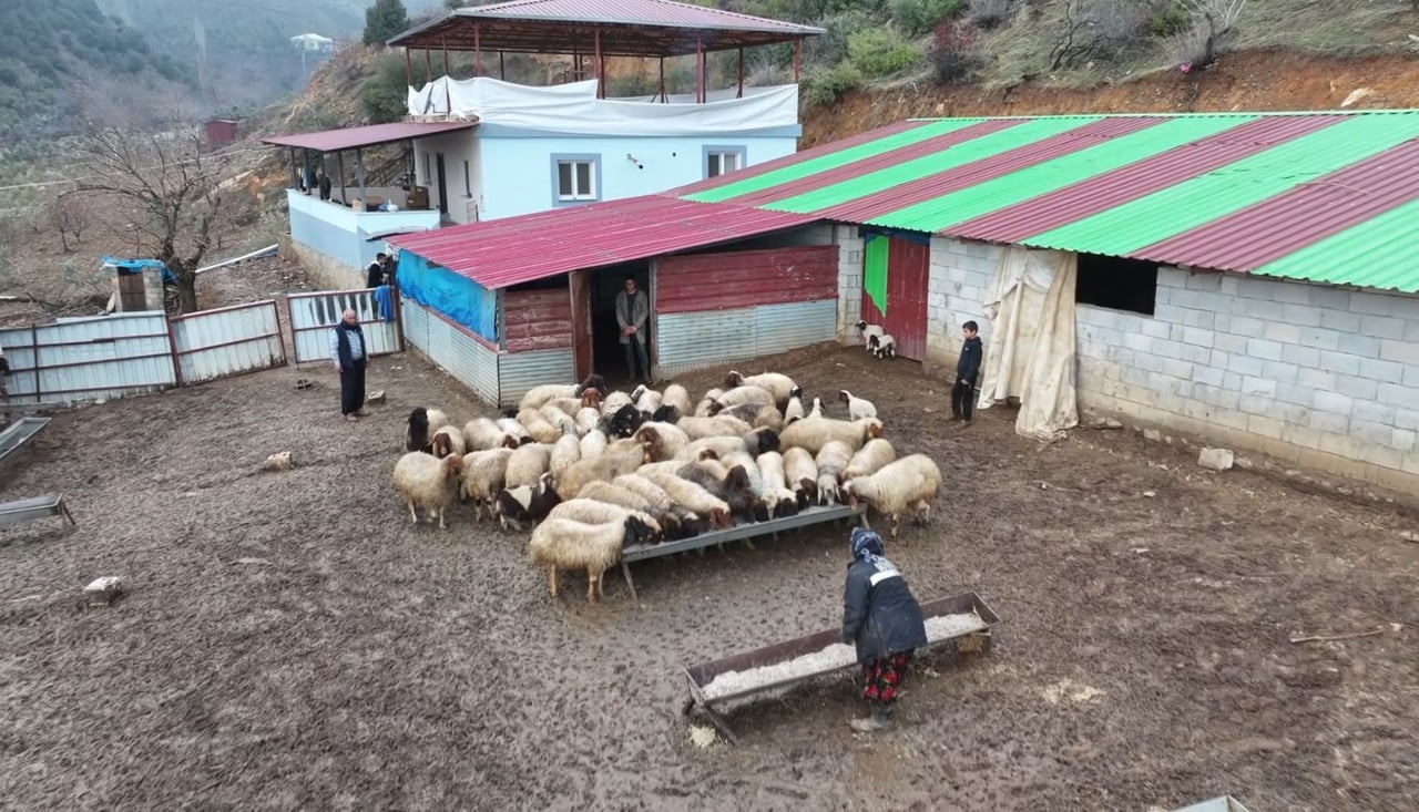 DEPREMZEDE BESİCİ DEVLET DESTEĞİYLE HAYATA TUTUNDU
