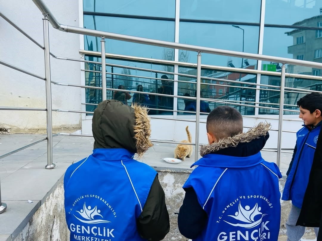 DİYADİN’DE GENÇLERDEN SOKAK HAYVANLARINA ANLAMLI DESTEK