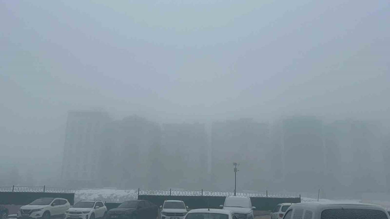 DİYARBAKIR'DA ETKİLİ OLAN YOĞUN SİS, HAYATI OLUMSUZ ETKİLEDİ. GÖRÜŞ MESAFESİ YER YER 10 METREYE...