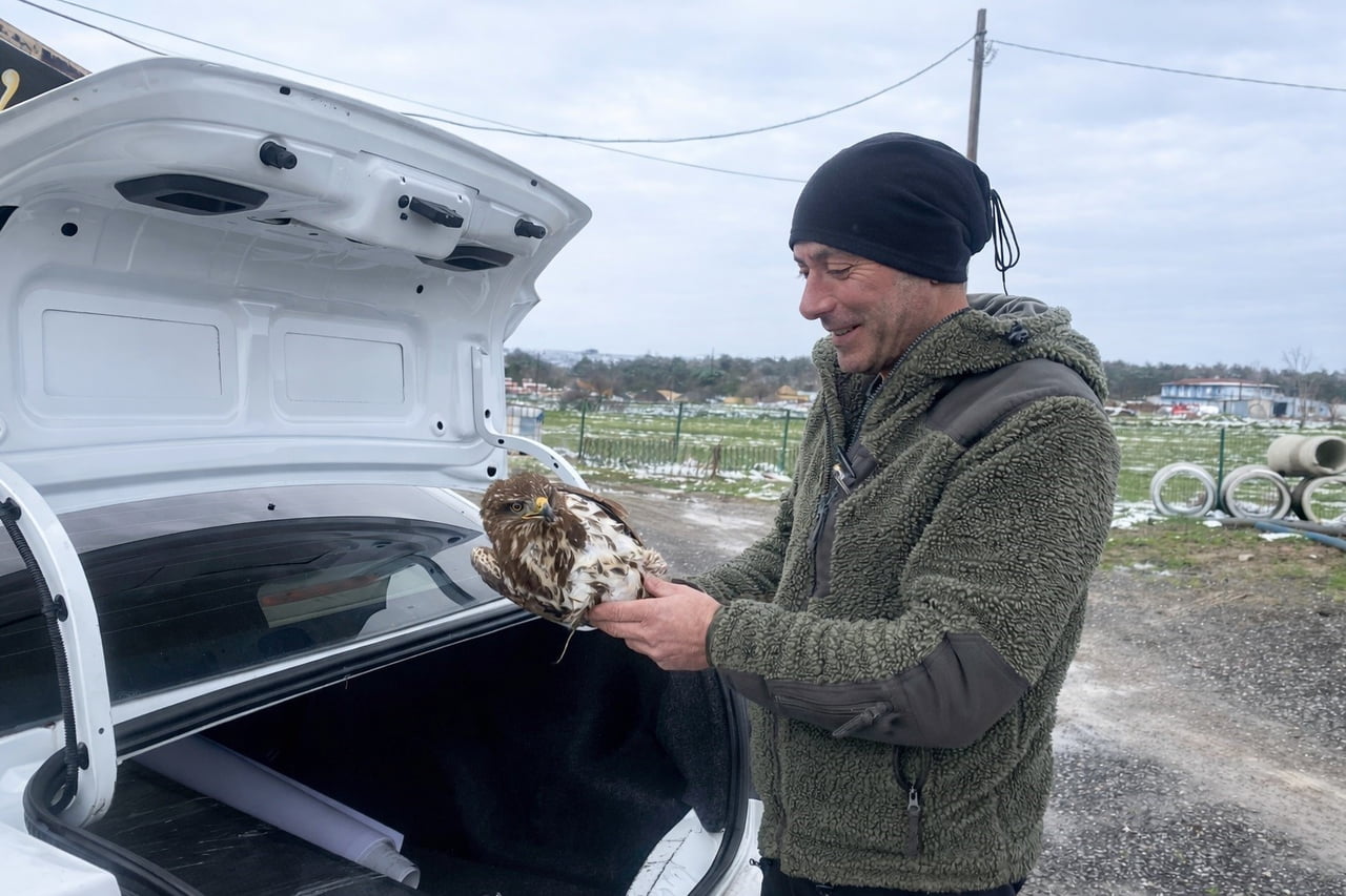 DOĞASEVER TANER TUNÇKOL TARAFINDAN ŞAHİNİN HAYATI KURTULDU.
