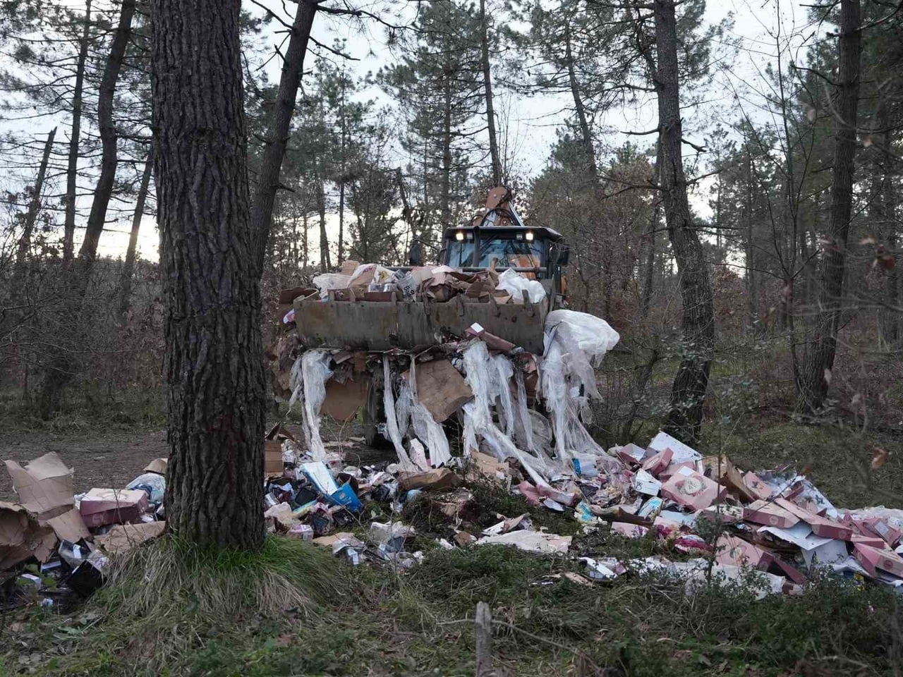 DÜZCE BELEDİYESİ TEMİZLİK İŞLERİ MÜDÜRLÜĞÜ, BAHÇEŞEHİR BÖLGESİNDE BULUNAN KENT ORMANININ KİMLİĞİ...