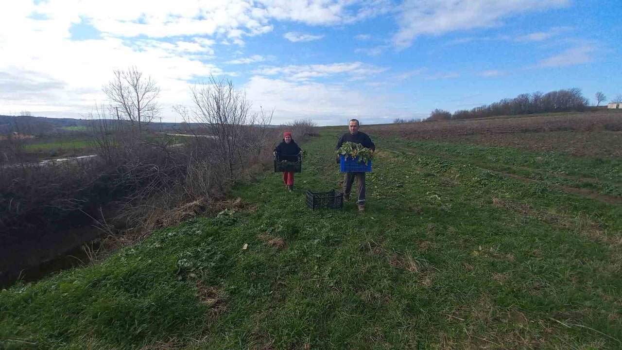 EDİRNE'NİN UZUNKÖPRÜ İLÇESİNDE ÇİFTÇİLİK YAPAN KEMAL İLTER, AİLESİYLE BİRLİKTE YILIN DÖRT MEVSİMİ...