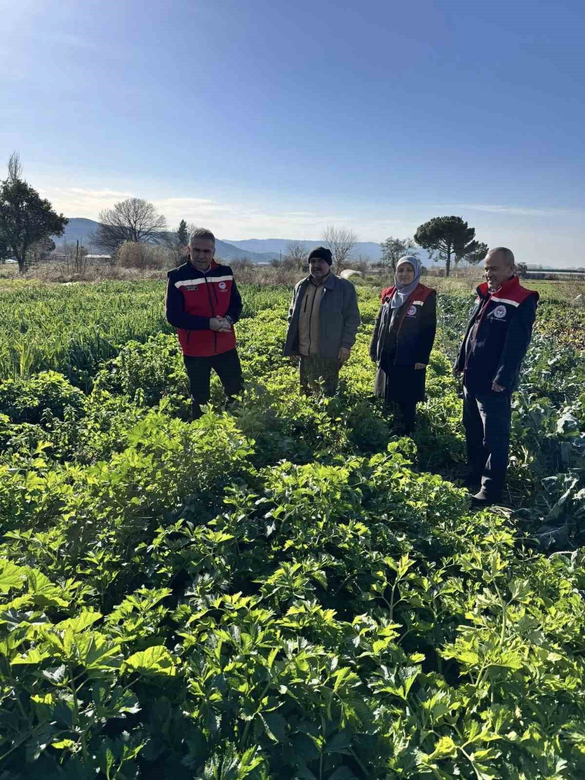 EFELER İLÇE TARIM VE ORMAN MÜDÜRLÜĞÜ EKİPLERİ, BALTAKÖY MAHALLESİ’NDE KİMYASAL GÜBRE KULLANILMADAN...