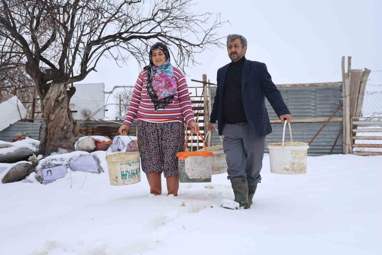 ELAZIĞ'DA ETKİLİ OLAN AĞIR KIŞ ŞARTLARI, BESİCİLERİN GÜNLÜK YAŞAMINI ZORLAŞTIRMAYA DEVAM EDİYOR....