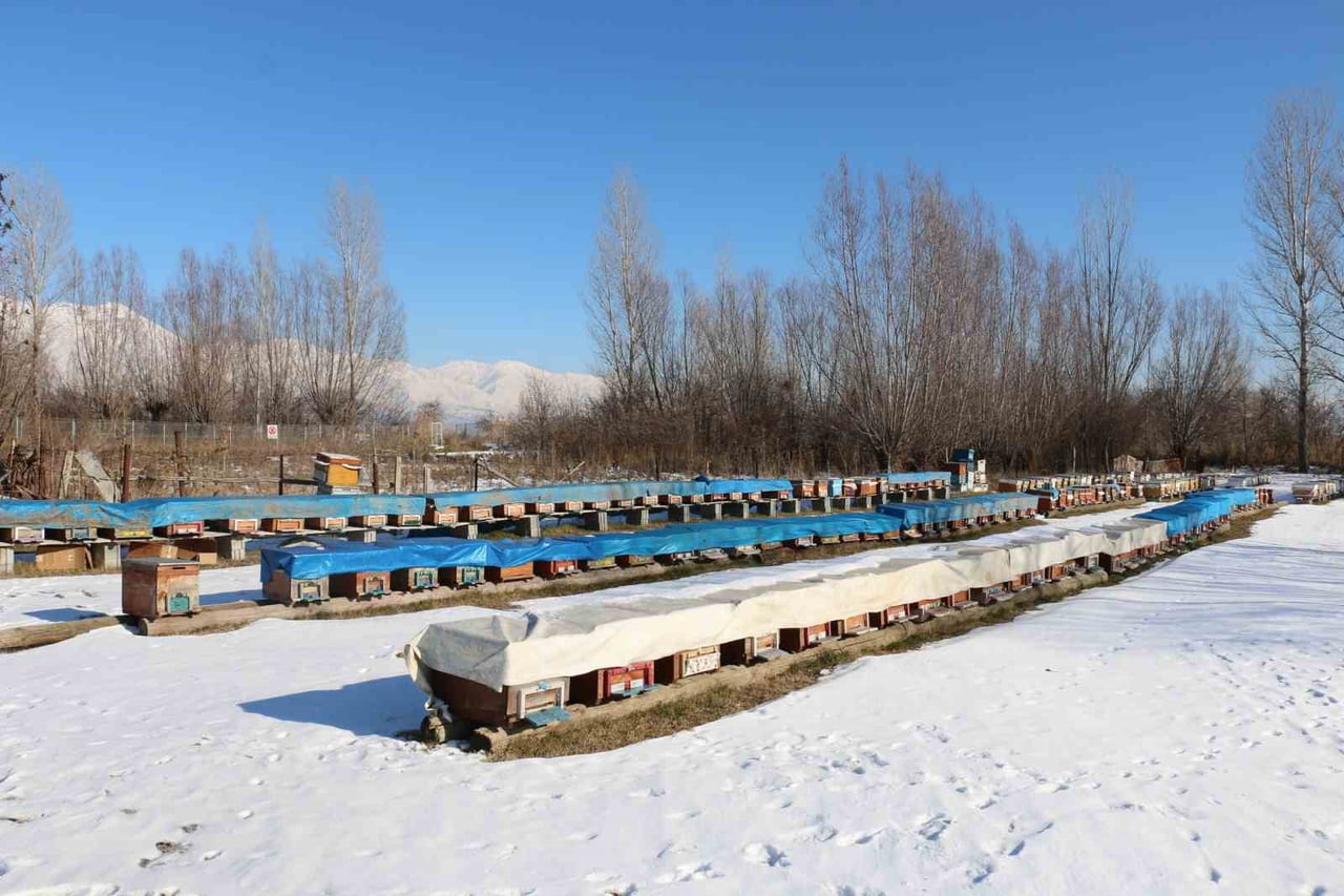 ERZİNCAN’DA ARICILIĞA DESTEK SÜRÜYOR