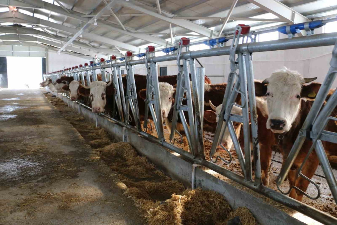 ERZİNCAN’DA HİBE DESTEĞİYLE KURULAN TESİS ÜRETİME BAŞLADI