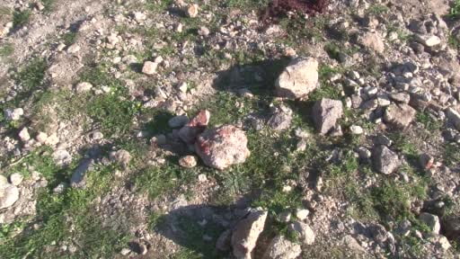 Eski İHD Şube Başkanı Ali Aydın’ın katil zanlısı tutuklandı