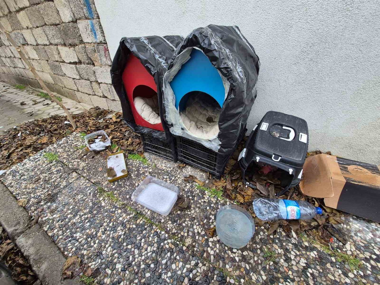 ESKİŞEHİR'DE DONDURUCU SOĞUKLAR ETKİSİNİ SÜRDÜRÜRKEN, ŞİRİNTEPE MAHALLESİ SAKİNLERİ SOKAK...