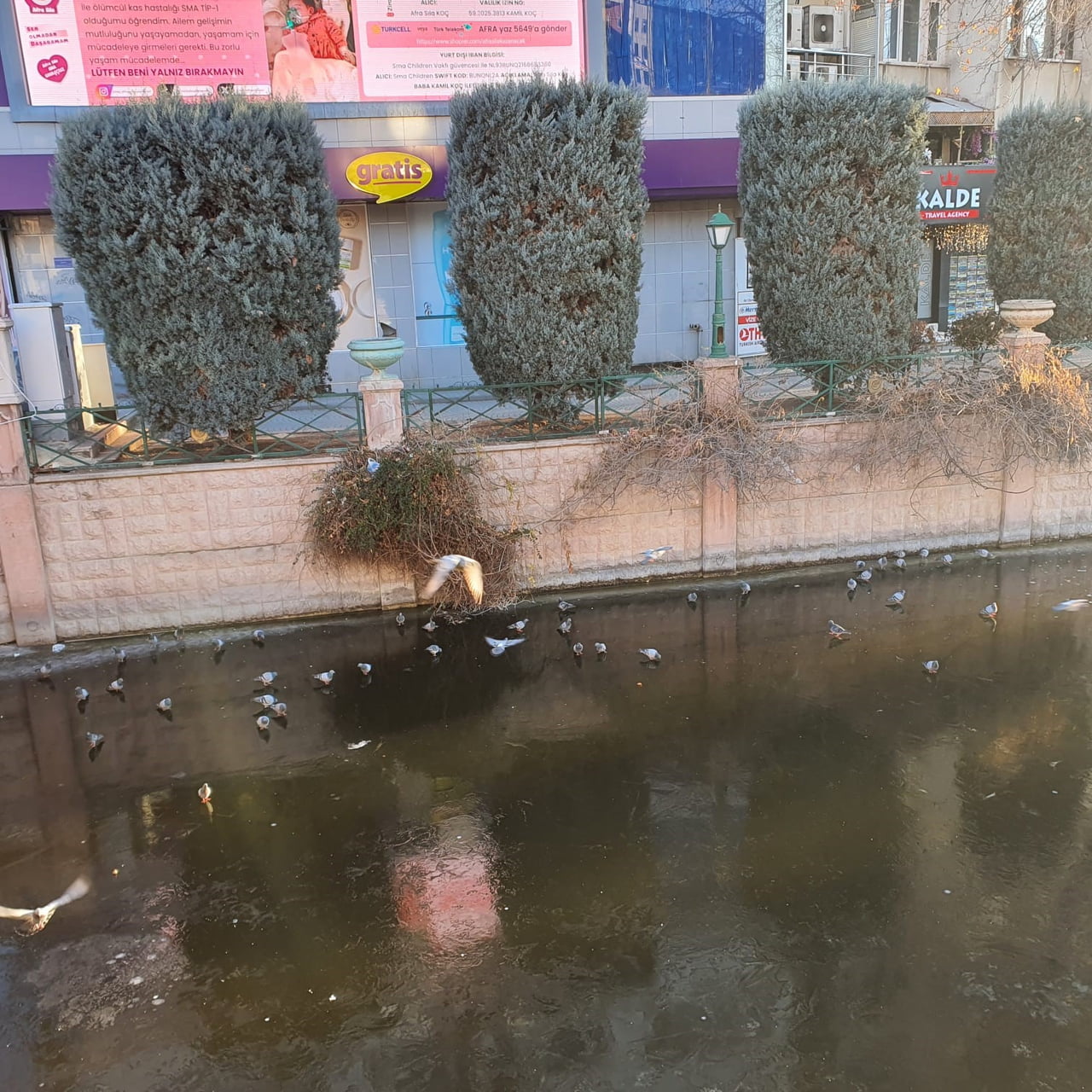 ESKİŞEHİR'DE ETKİLİ OLAN DONDURUCU SOĞUKLAR SEBEBİ İLE YÜZEYİNİN BÜYÜK BÖLÜMÜ DONAN PORSUK ÇAYI...