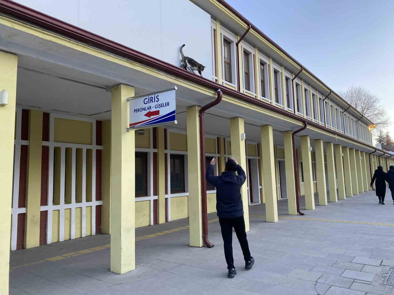 ESKİŞEHİR'DE GEÇTİĞİMİZ GÜNLERDE ÇATIDA MAHSUR KALMIŞ GİBİ BAĞIRIP KENDİSİNİ KURTARMAYA ÇALIŞAN...