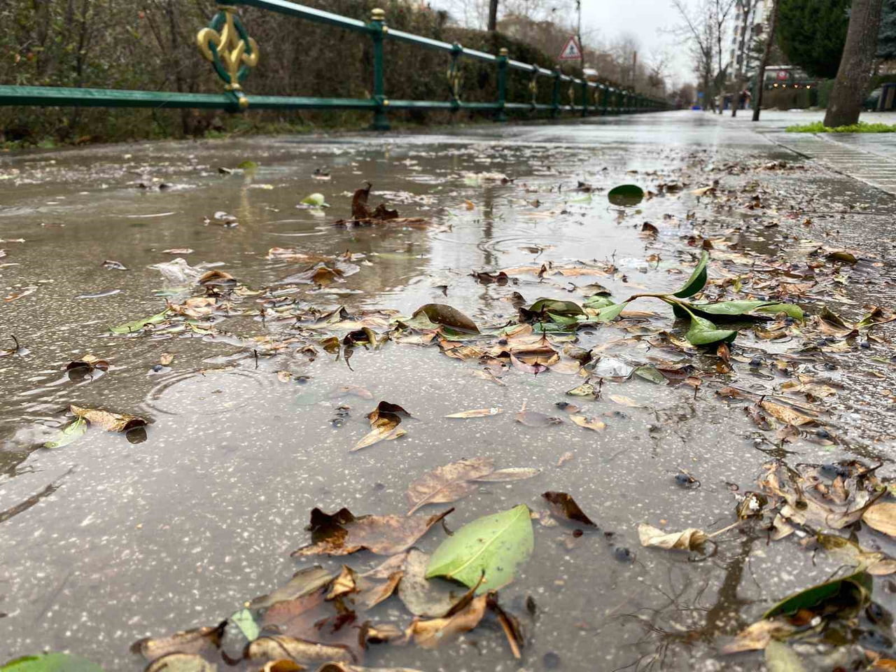 ESKİŞEHİR’DE SABAH SAATLERİNDEN İTİBAREN ETKİLİ OLAN FIRTINA, ÖĞLE SAATLERİNDE BAŞLAYAN YAĞMURLA...